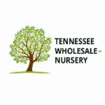 Tn Nursery